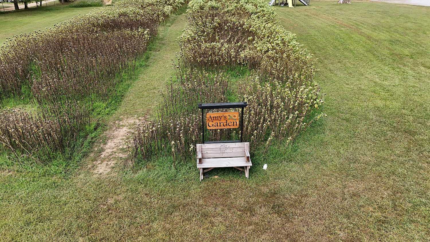 Summertown | DJI_20230913105316_0039_D.JPG