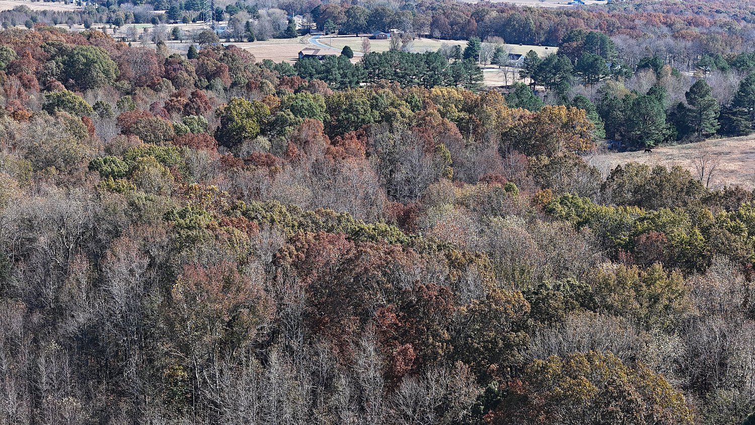 Summertown | DJI_20231104131712_0359_D.JPG