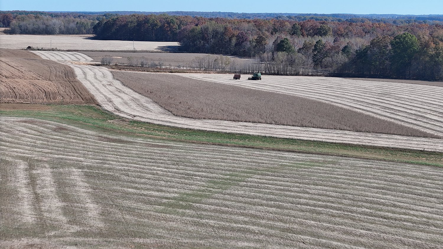 Summertown | DJI_20231104133525_0407_D.JPG