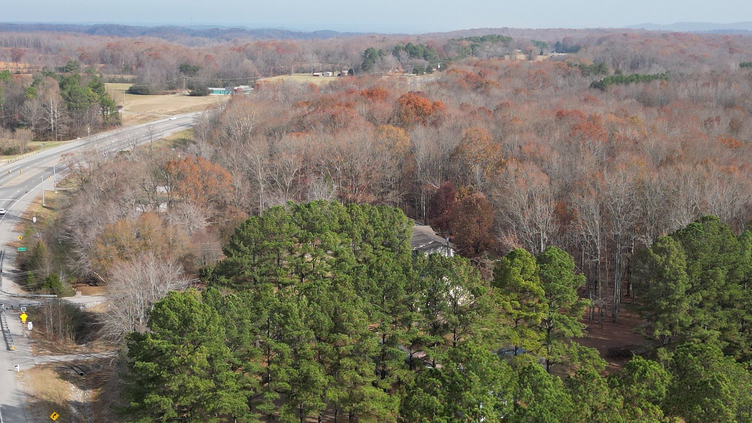 Summertown | DJI_0591.JPG