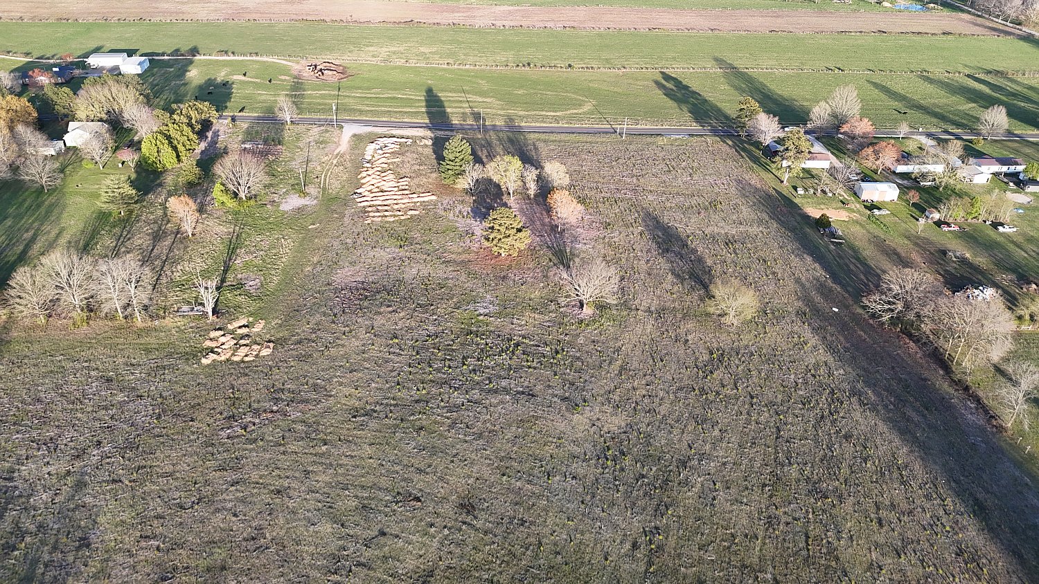 Summertown | DJI_20240329181939_0825_D.JPG